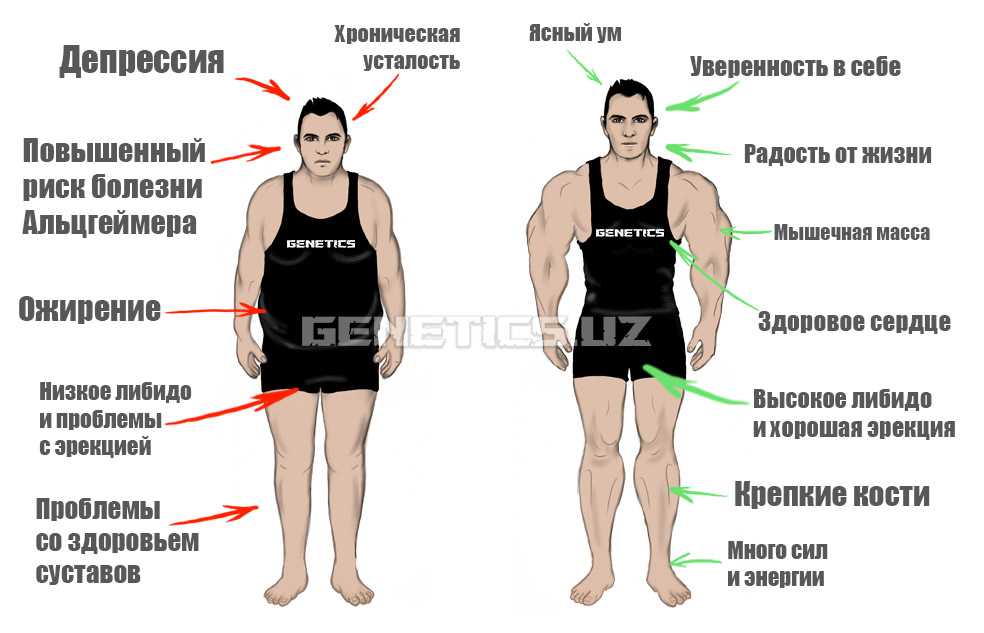 Золотарь – профессия прошлого, не потерявшая актуальность и сейчас | это было и с этим не поспоришь | дзен