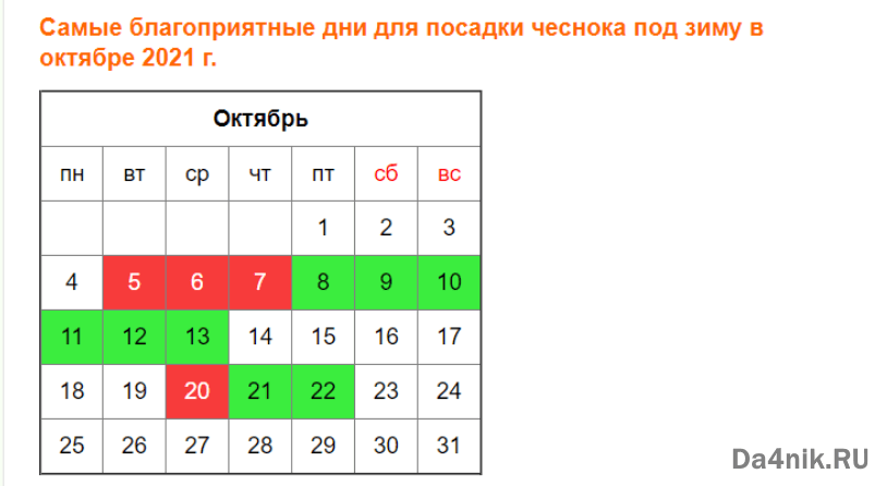Посадка чеснока и лука в октябре 2022 года по лунному календарю