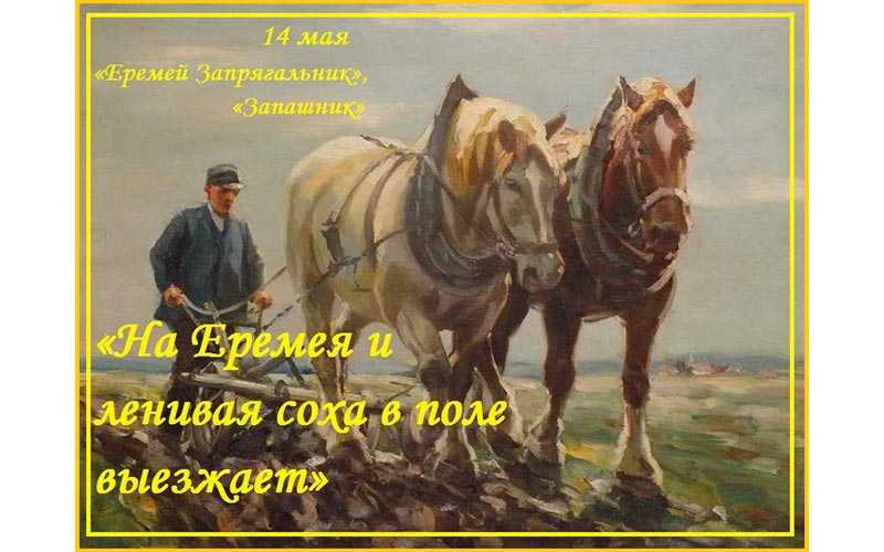 Приметы и обряды на 14 мая – день еремея запрягальника