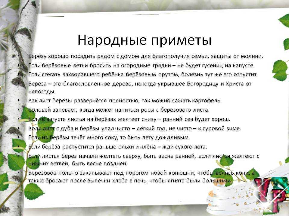 Народные приметы 22 мая 2021 года в день николы вешнего