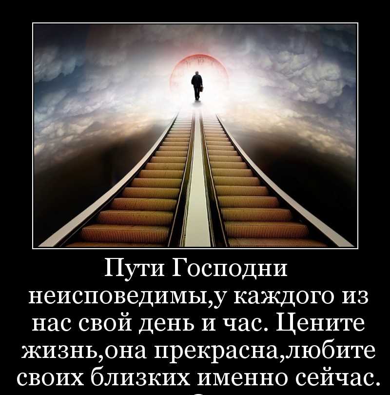 Тарле, евгений викторович