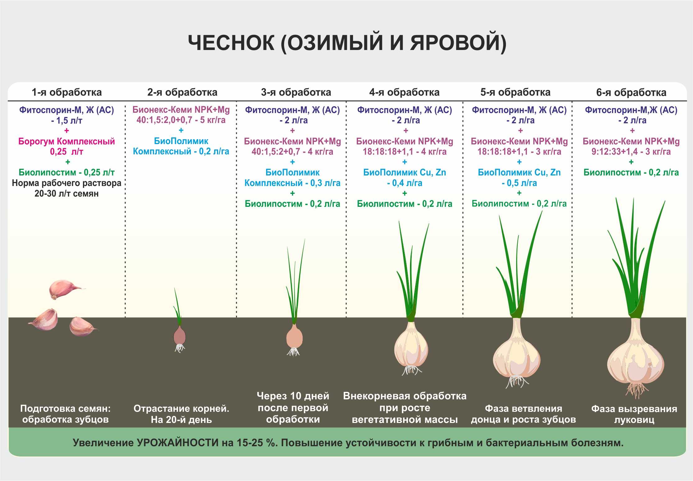 Когда садят огурцы в открытый грунт по народным приметам
