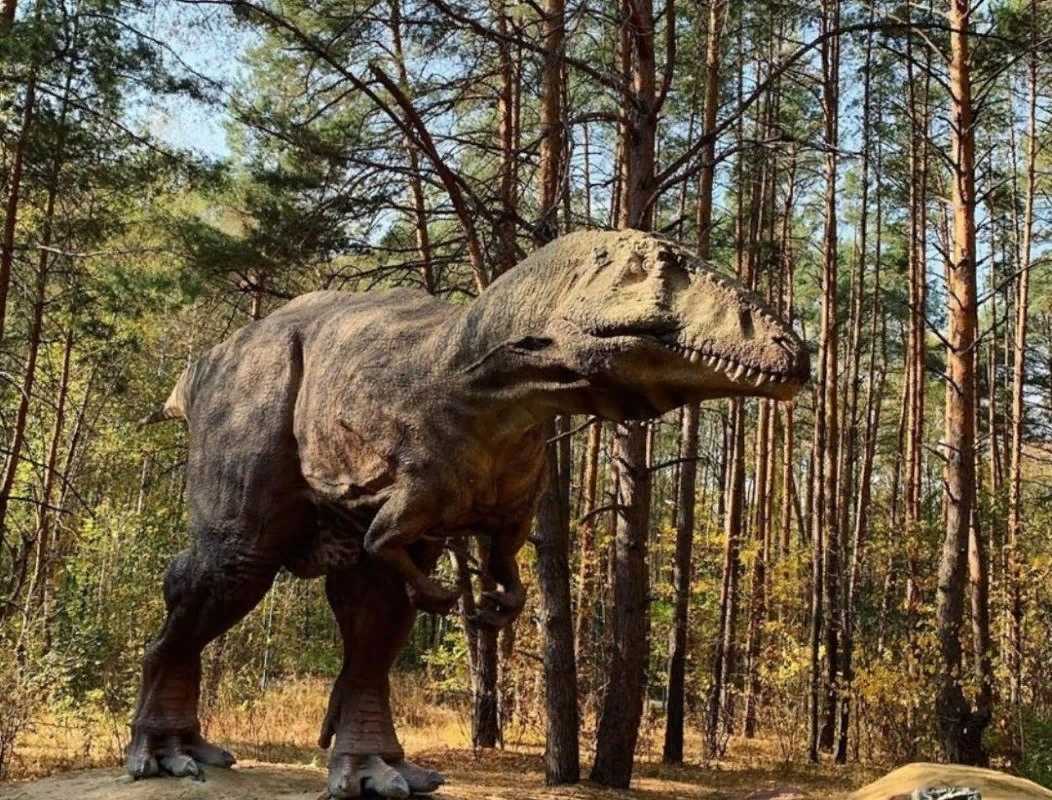 Зоопарк и динопарк  описание и фото - россия - центральный р-н : белгород