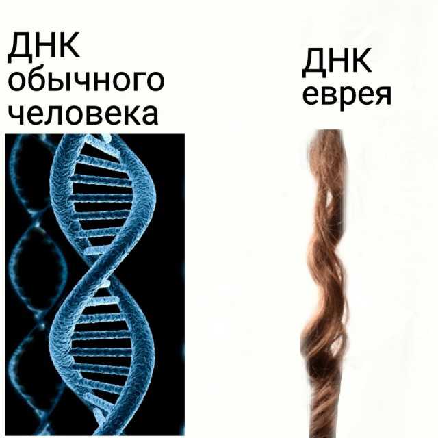 Днк-генеалогия клесова не соответствует критериям науки | генофонд рф