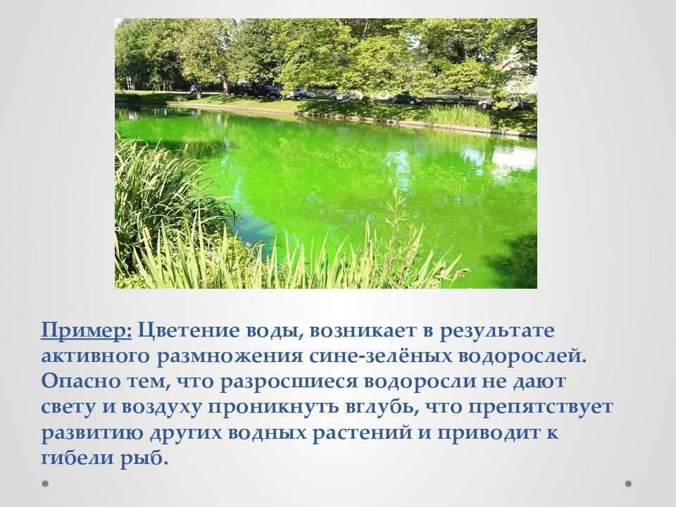 Влияние загрязнения воды на здоровье человека