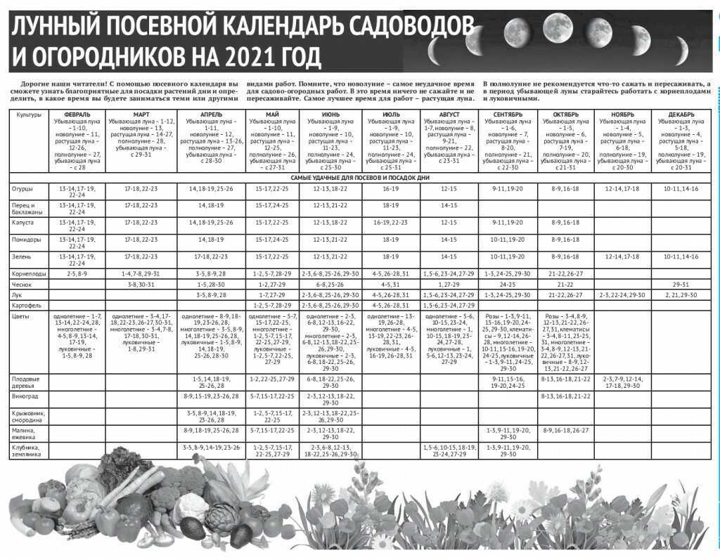 Посадочные дни в апреле 2023 года: сроки посадки, календарь