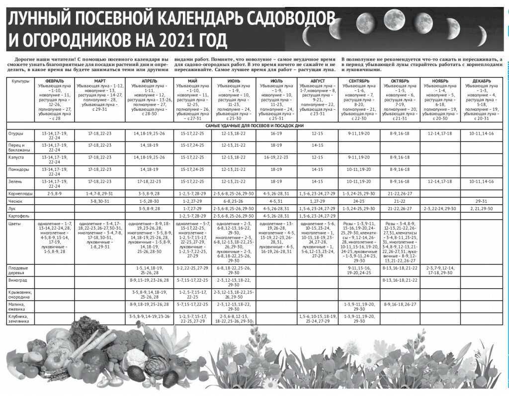 Посевные дни в апреле. Посевная таблица огородника на 2021 год. Лунный календарь посевной на 2021 садовода и огородника. Посадочный календарь на 2022 год. Лунный календарь садовода и огородника 2022.