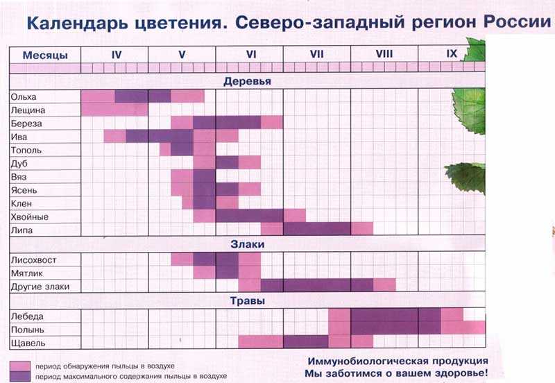 Календарь цветения для аллергиков на 2021 год