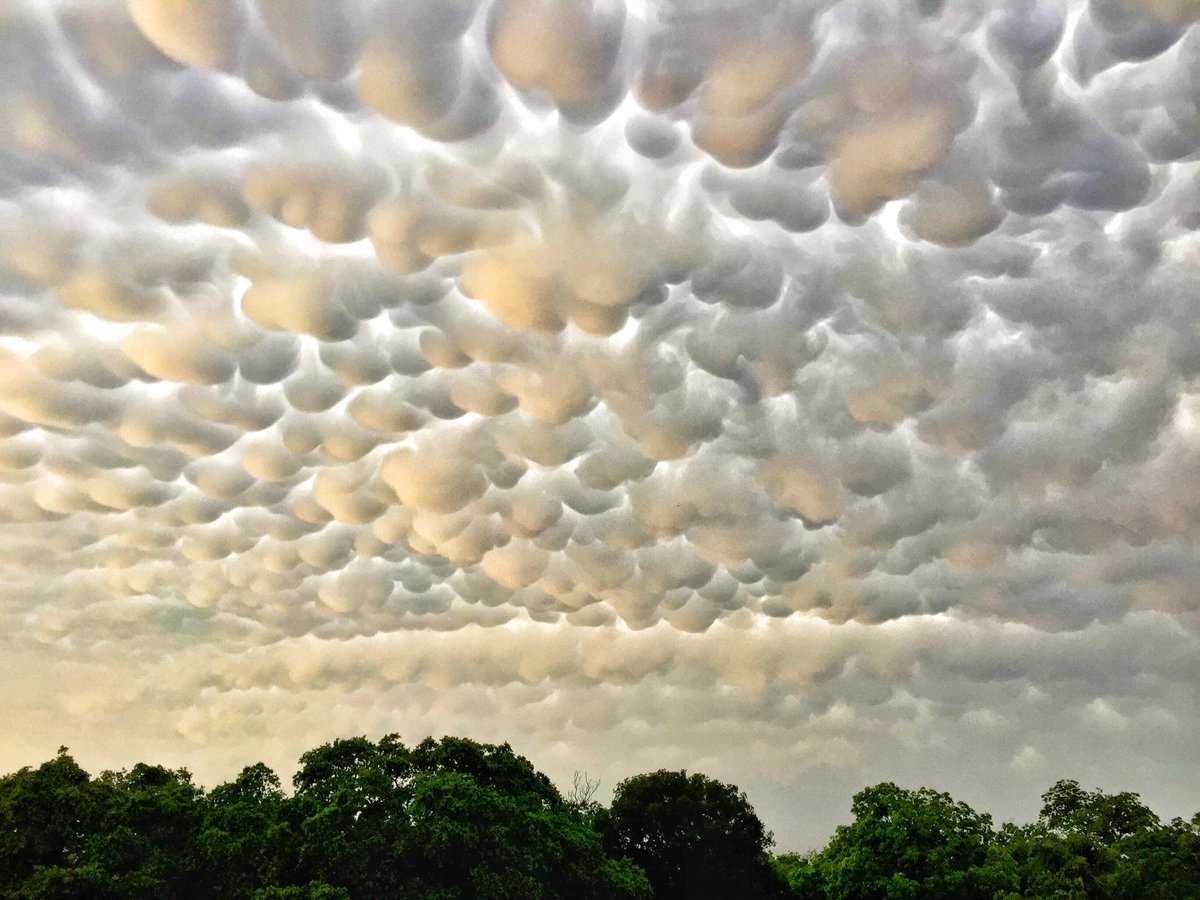 Фототелеграф  » необычные облака: mammatus