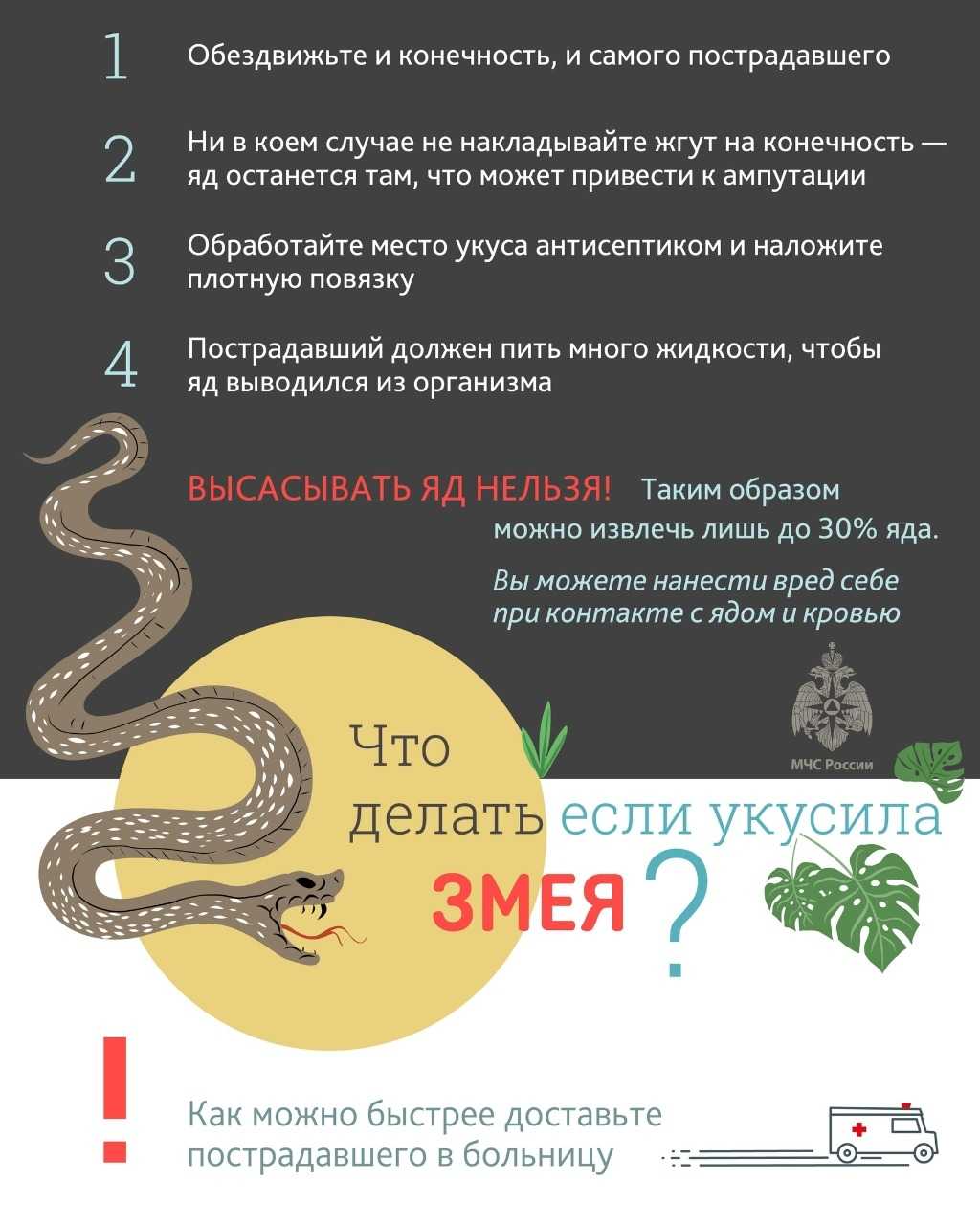 Как зимуют змеи?