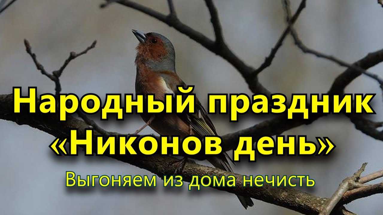 5 апреля 2023 года — какой сегодня праздник, приметы, что нельзя делать, народный календарь