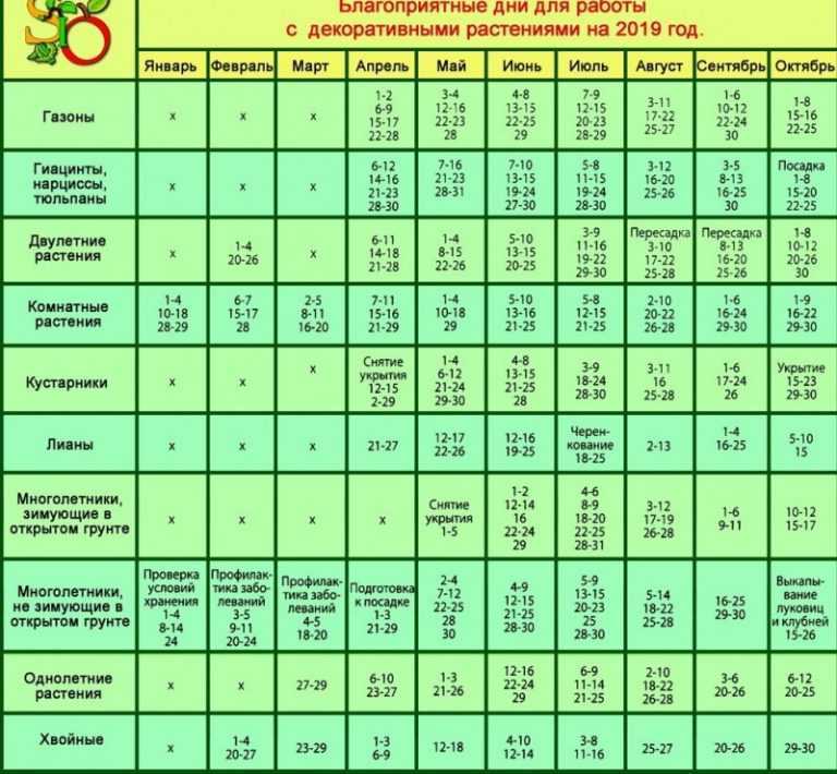 Когда высаживать рассаду помидор в открытый грунт в маю 2023 года: благоприятные дни, сроки