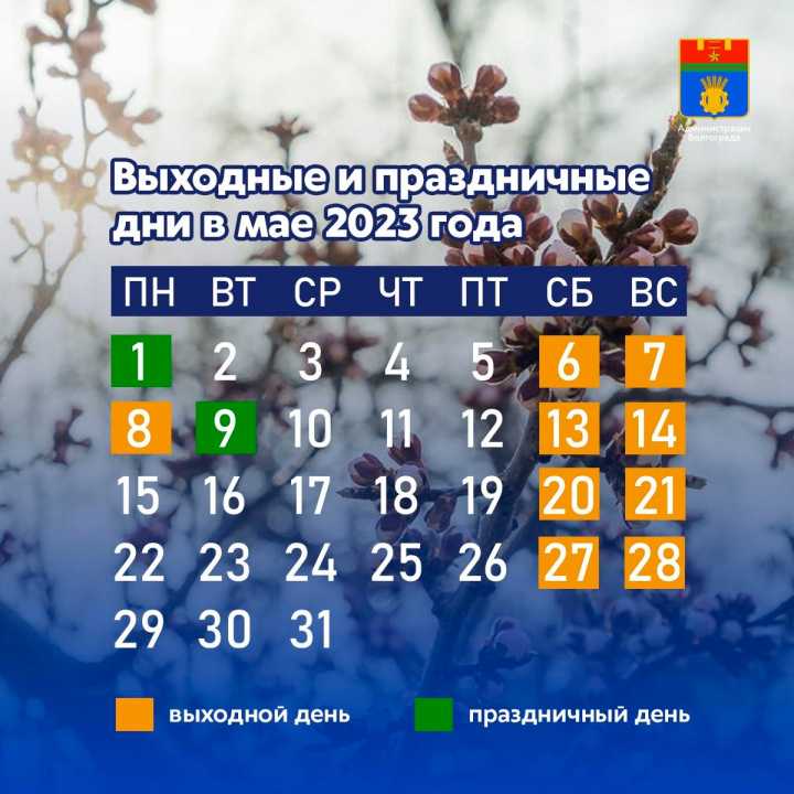 Нерабочие праздничные дни 2023 - какие дополнительные выходные будут в россии (федеральные и региональные)
        :: 
        все дни