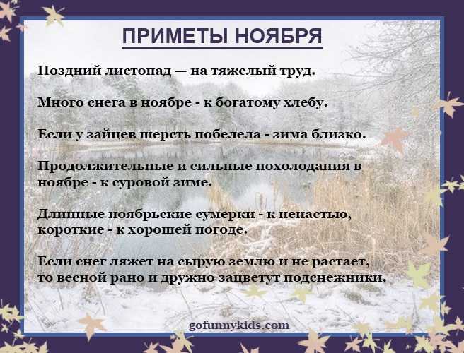 Прогноз погоды на 2023 год в россии: какой будет зима, весна, лето, осень?