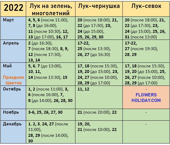 Лук – как и когда сажать в 2023 году?