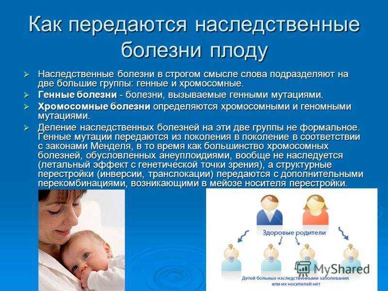 Какие гены передаются от отца к дочери - детская городская поликлиника №1 г. магнитогорска
