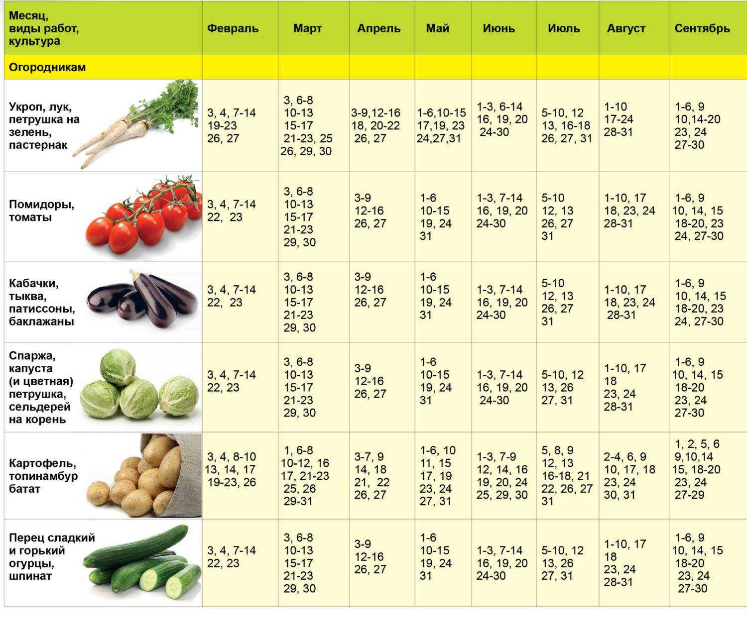 Календарь посева семян на рассаду