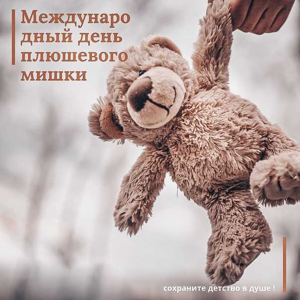 История мишки тедди: от трагедии на охоте до мировой любви