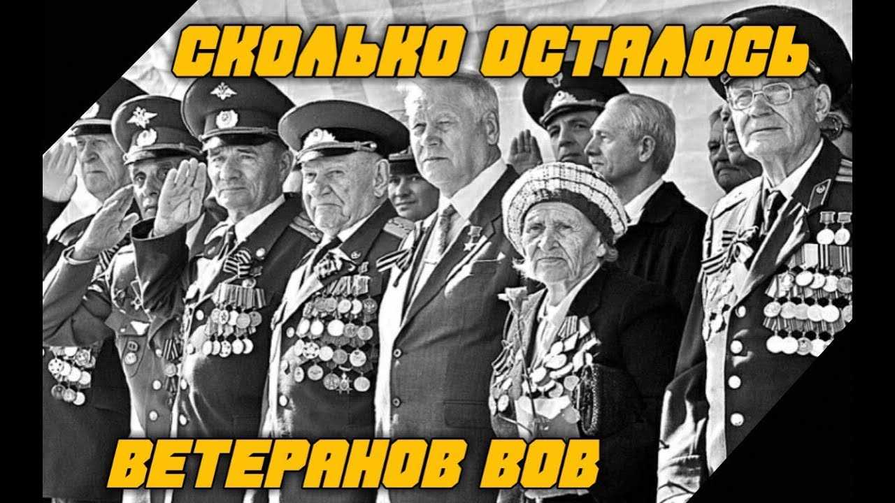 Сколько участников вов осталось в живых в россии на сегодня по регионам карта