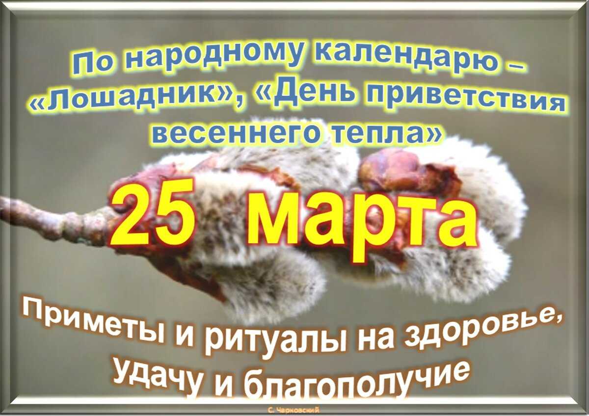 Какой праздник 25 ноября 2023 года