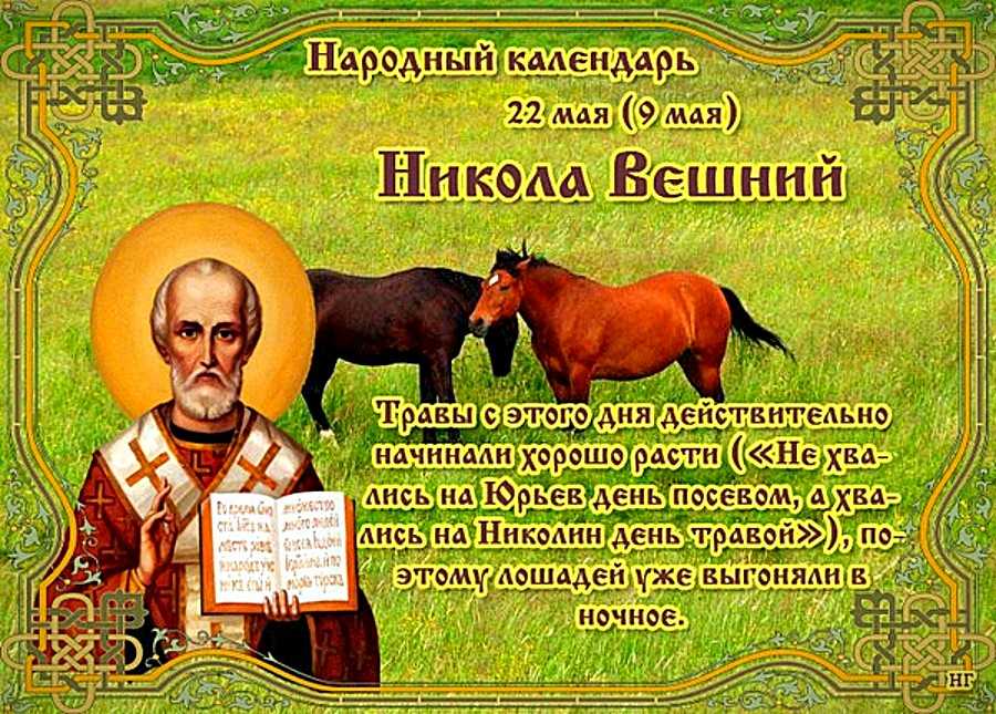 Поздравления к международному дню психолога 25 декабря 2022 года | донбасс сегодня