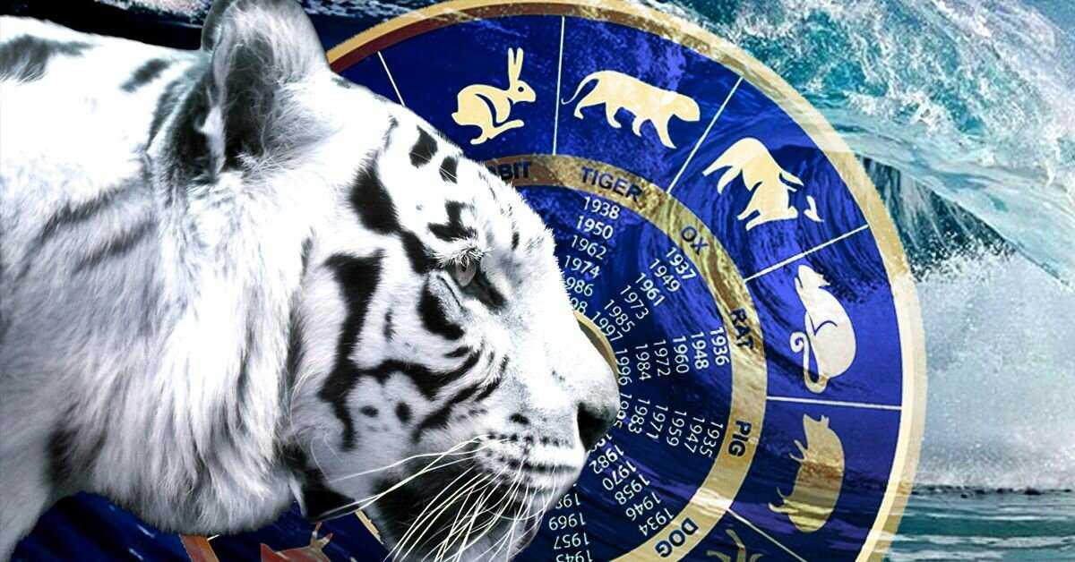 Символ 2022 года: по восточному, славянскому календарю и знаку зодиака - нумерология онлайн
