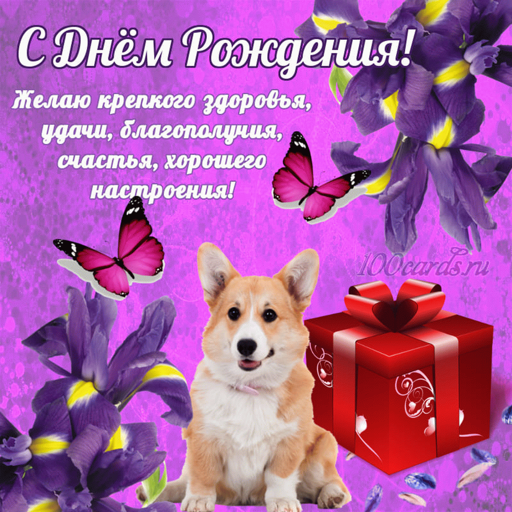 Международный день фитнеса или самый активный день в году