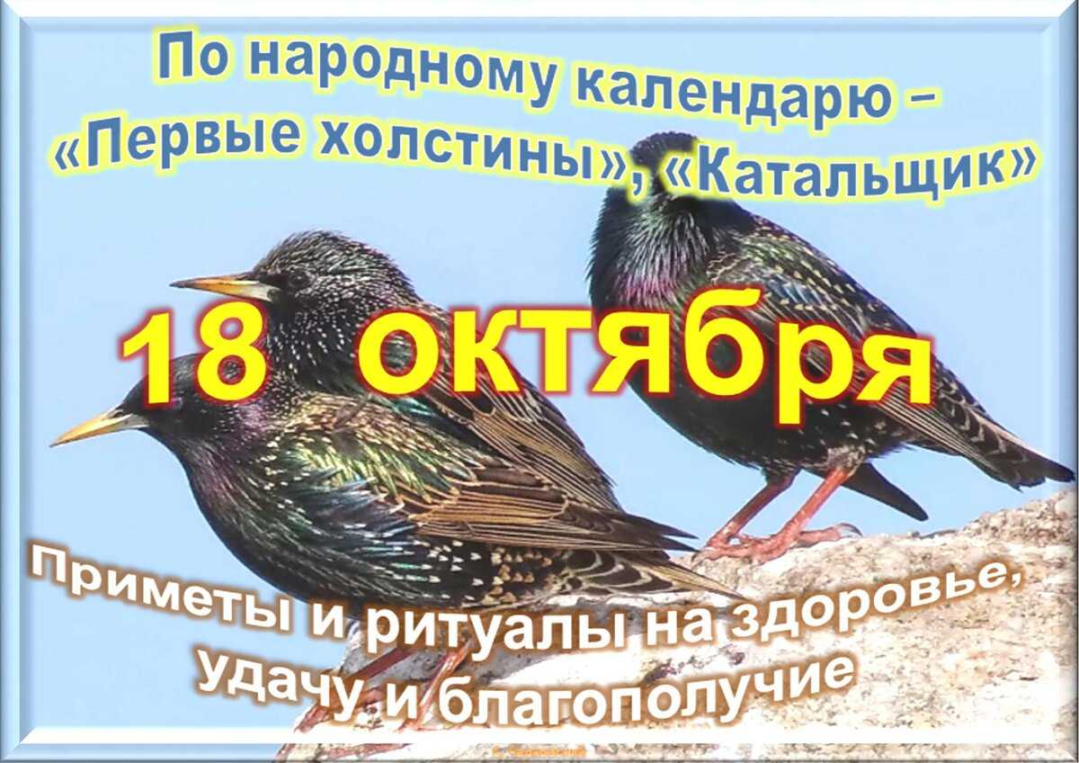 Какой сегодня праздник: 26 сентября 2022 года: новости, луна, календарь, приметы, церковь, история, праздники