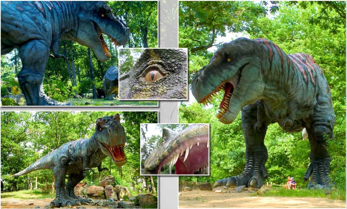 «проснувшиеся» динозавры. в белгородском динопарке открывают новый сезон — fonar.tv