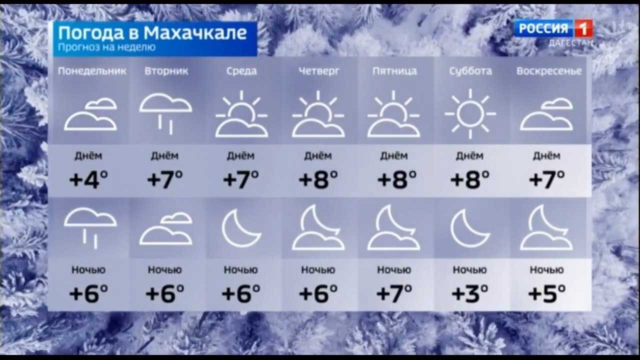 Какая будет весна в 2023 году: прогноз