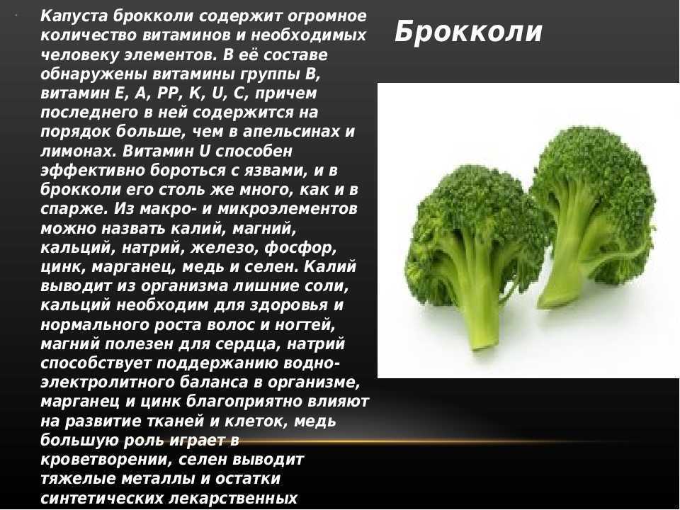 Клетчатка