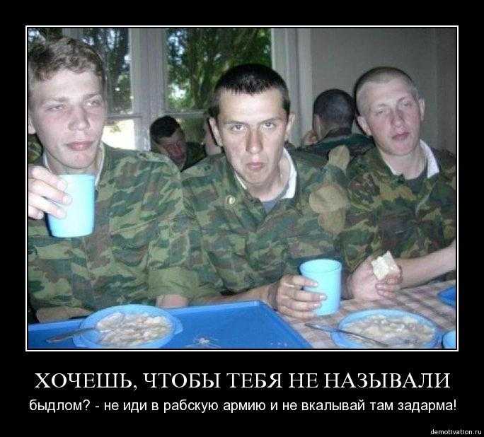 Почему цыгане не работают, не служат в армии и не платят налоги — legendapress
