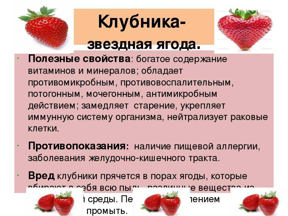Лучшие сорта клубники для подмосковья для открытого грунта: когда сажать и как выращивать