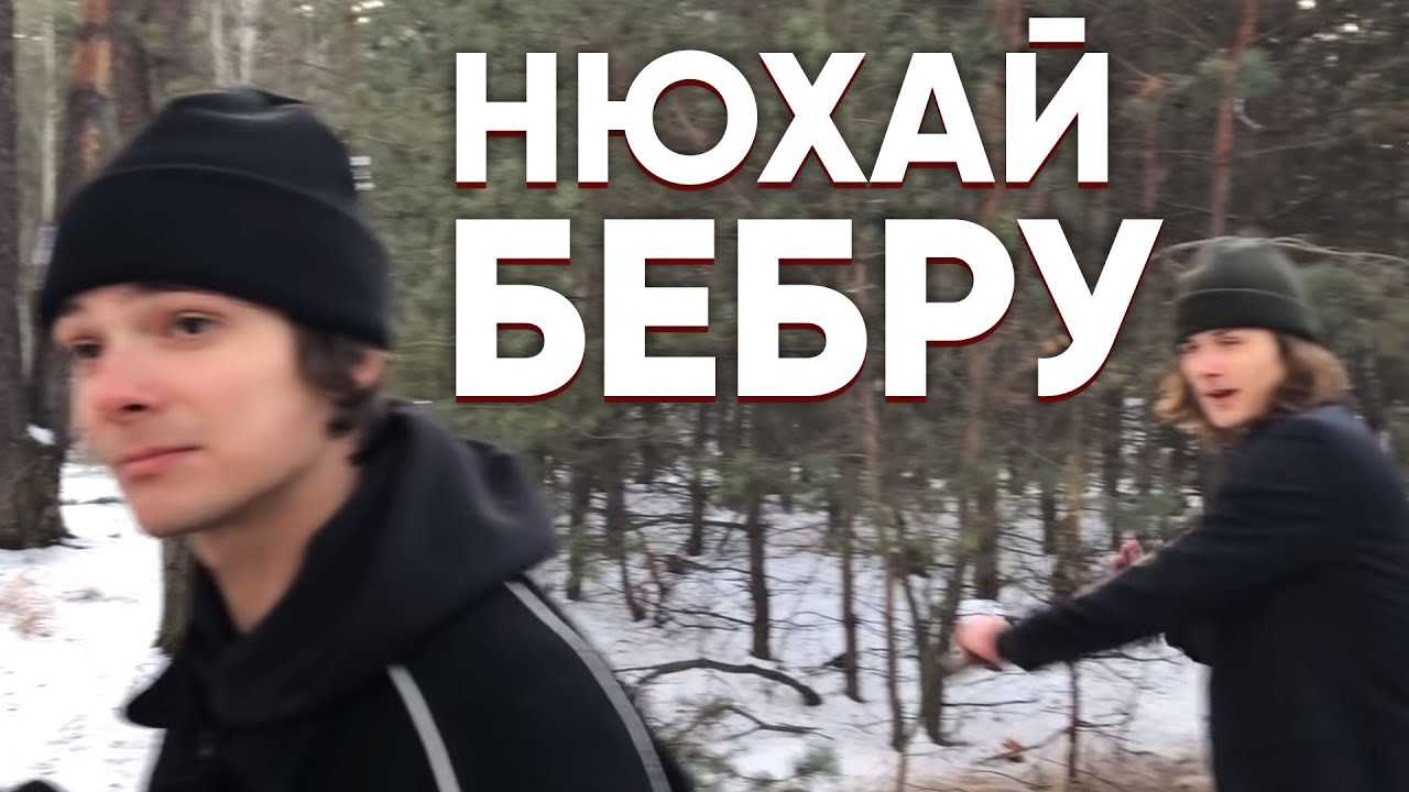 Что значит нюхай бебру в молодежном сленге?