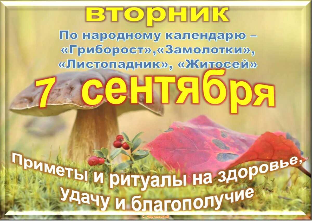 Народные приметы на 7 декабря 2021 года: что можно и чего нельзя делать в этот день
