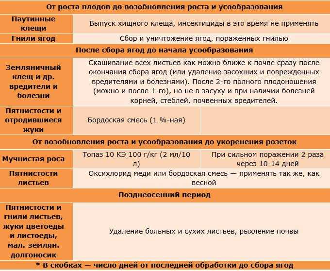 Весенняя обработка клубники в апреле: защита от вредителей и профилактика заболеваний | теплотехники