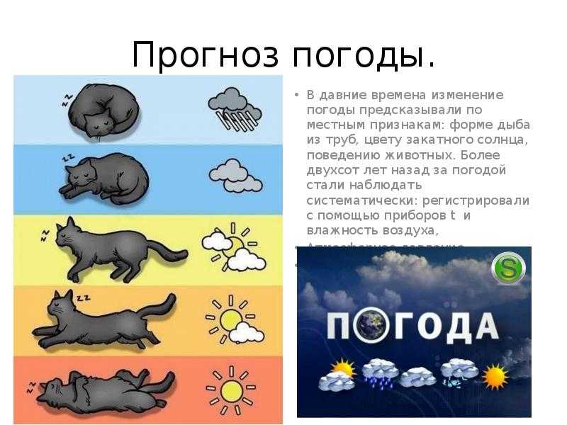 Какая будет осень в 2021 году в россии: холодная или теплая, прогноз синоптиков, приметы