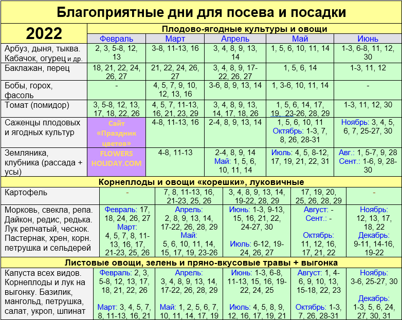 Лунный календарь по месяцам комнатного цветовода на 2023 год: таблица благоприятных дней для ухода за цветами