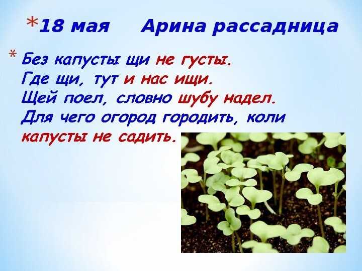 Какие народные и церковные праздники отмечают 22 мая 2022 года, приметы и поверья