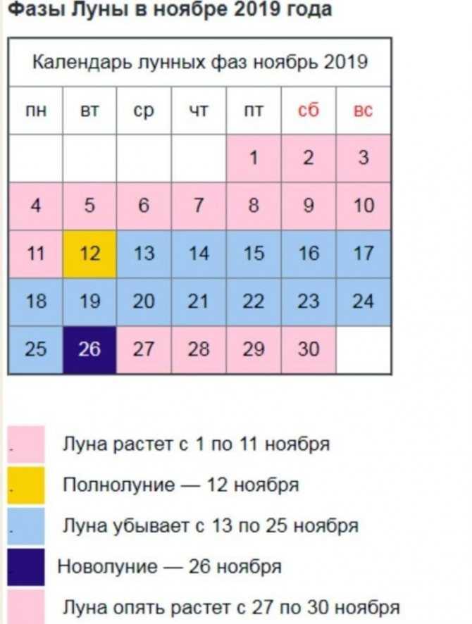 Когда квасить капусту в октябре 2021 года по лунному календарю, благоприятные дни для засолки
