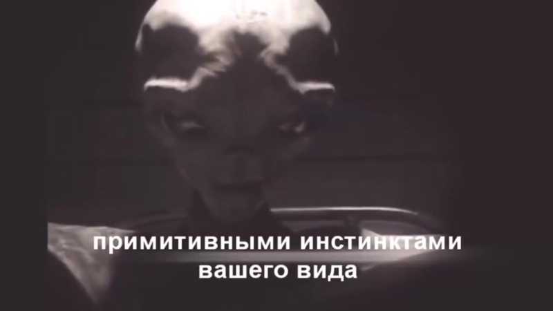 Подлинность видео допроса пришельца из будущего вызывает споры у специалистов - новости россоши и россии - 9 ноября - 43574631378 - медиаплатформа миртесен
