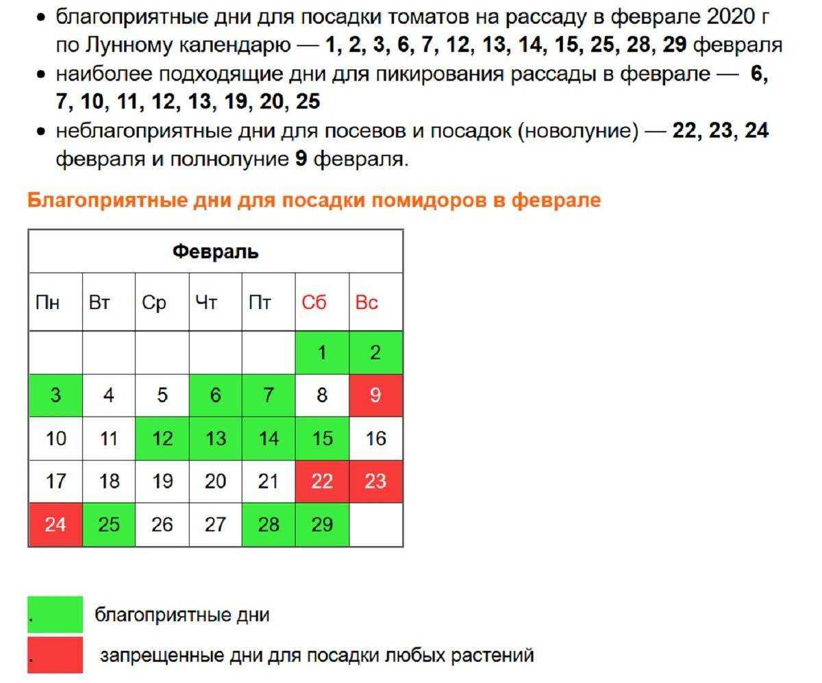 Пересадка рассады помидор в апреле по лунному календарю 2023 года в теплицу и открытый грунт для отдельных регионов