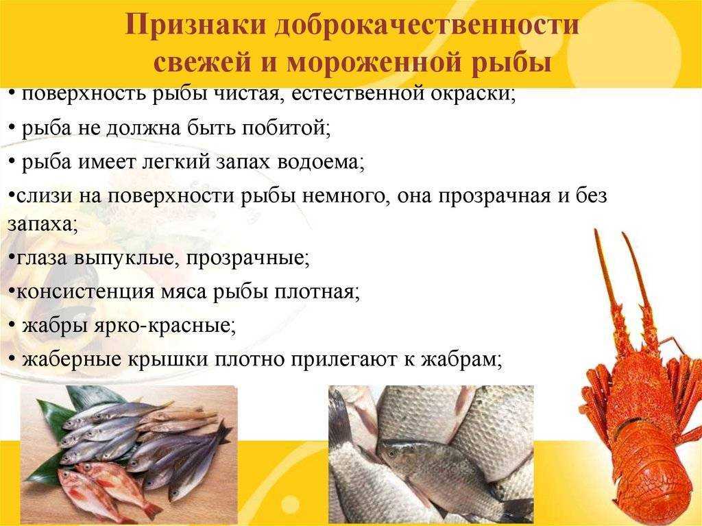 Оценка качества рыбы. Признаки доброкачественности рыбы. Обработка рыбы и морепродуктов. Способы обработки рыбы. Технология рыбных продуктов.