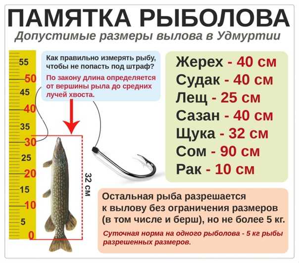 Весенний запрет на рыбную ловлю 2019. на что можно рыбачить?