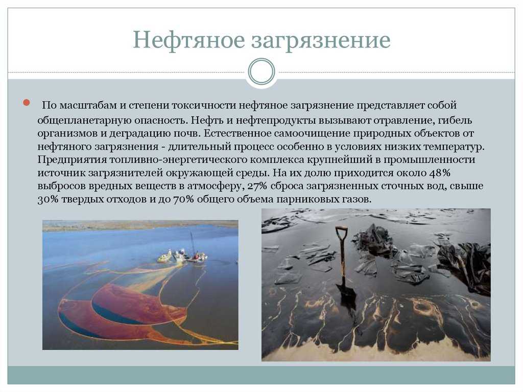 Разлив нефтепродуктов: последствия и методы устранения :: businessman.ru