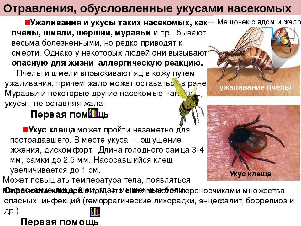 Почему кусаются мухи – читайте