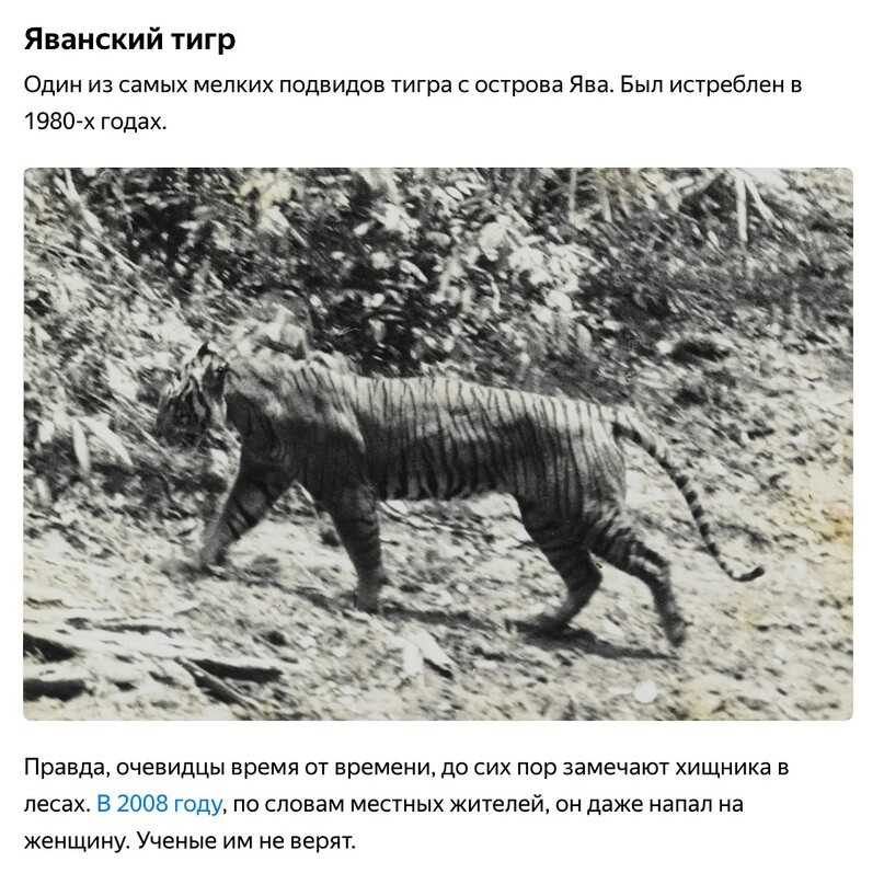 Вымирающие животные планеты