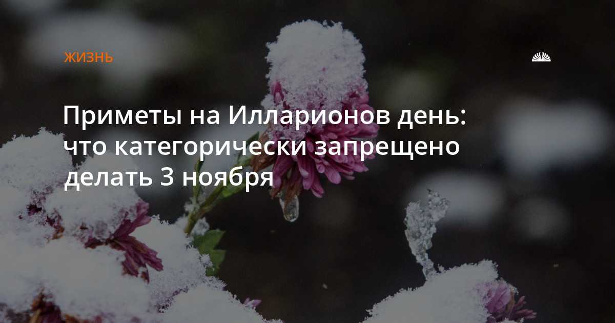 Народные приметы на 3 ноября 2020 года: что можно и чего нельзя делать в этот день