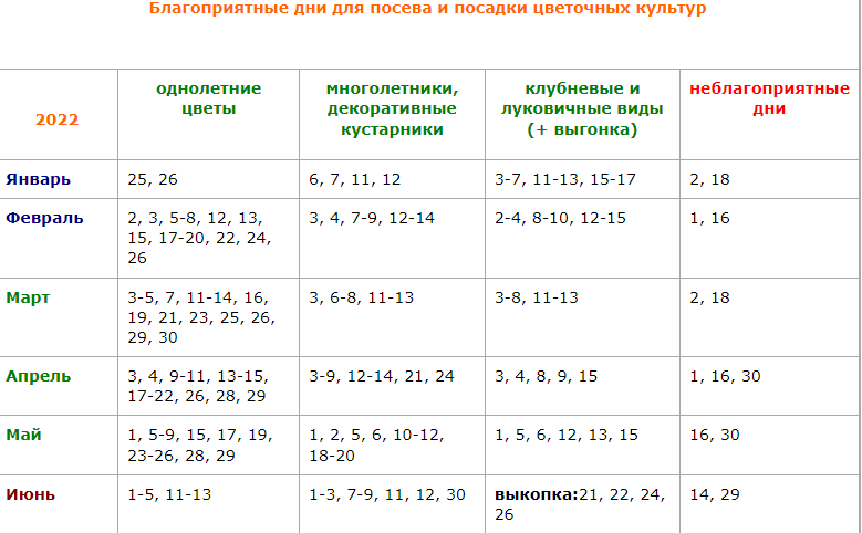 Озимый чеснок в октябре 2018 года надо высаживать в благоприятные для этого дни - 1rre