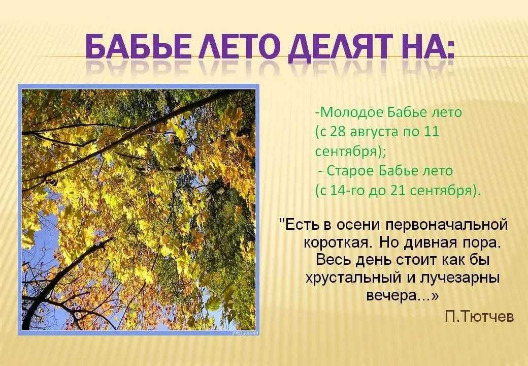 Бабье лето когда начинается и заканчивается в 2018 году